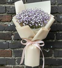 Букет цветов из:  Гипсофила в Головинка Сочи
