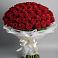 Букет 101 Красная роза Блэк Мэджик в Головинка Сочи