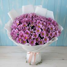 Букет цветов из:  Хризантемы в Головинка Сочи