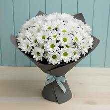 Букет цветов из:  Хризантемы в Головинка Сочи