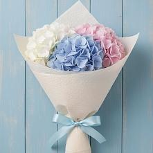 Букет цветов из:  Гортензия в Головинка Сочи