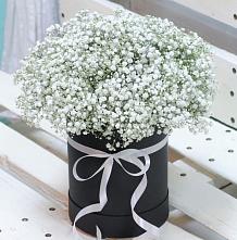 Цветочная композиция из Гипсофила в шляпной коробке #REPLACE_PRED# Головинка Сочи