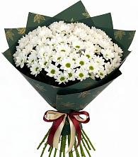 Букет цветов из:  Хризантемы #REPLACE_PRED# Головинка Сочи