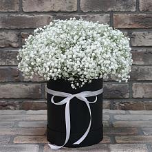 Цветочная композиция из Гипсофила в шляпной коробке в Головинка Сочи