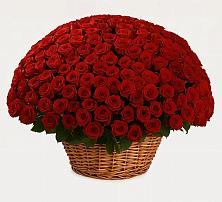 Премиум букет из: Розы в Головинка Сочи