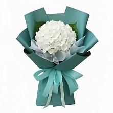 Букет цветов из:  Гортензия в Головинка Сочи